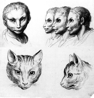 Illustration for article titled Baroque-Era Drawings Reveal Early Ideas About Evolution